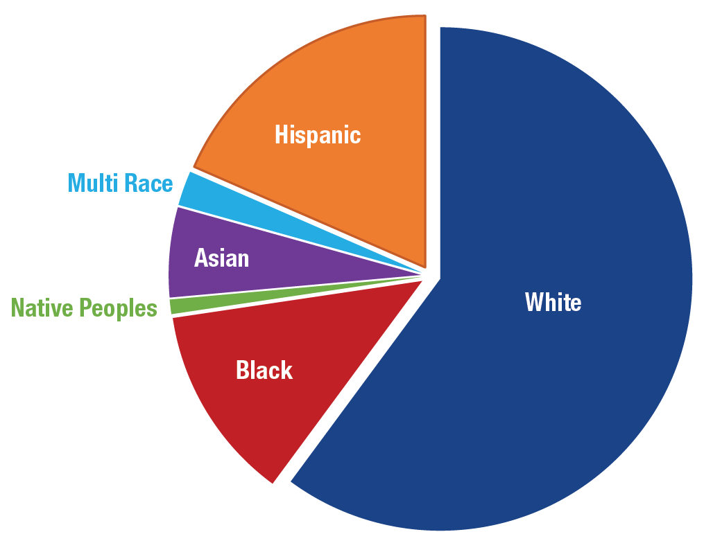 us population by race 2022