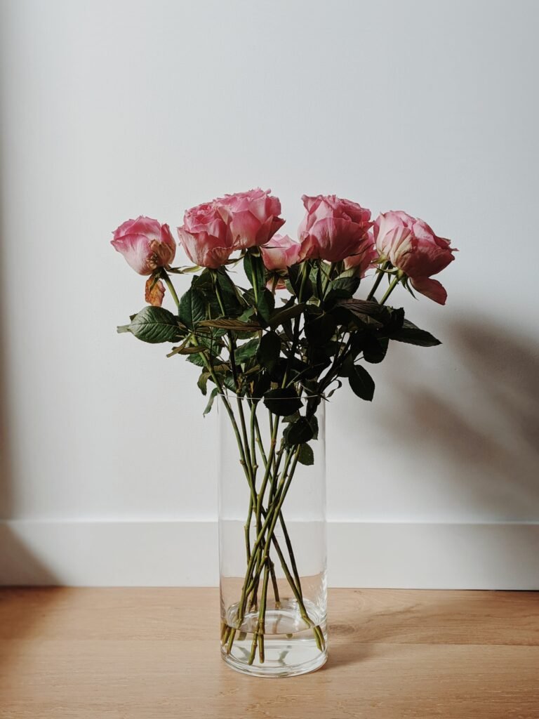 Popular Activities People Enjoy Doing On Valentine’s Day 