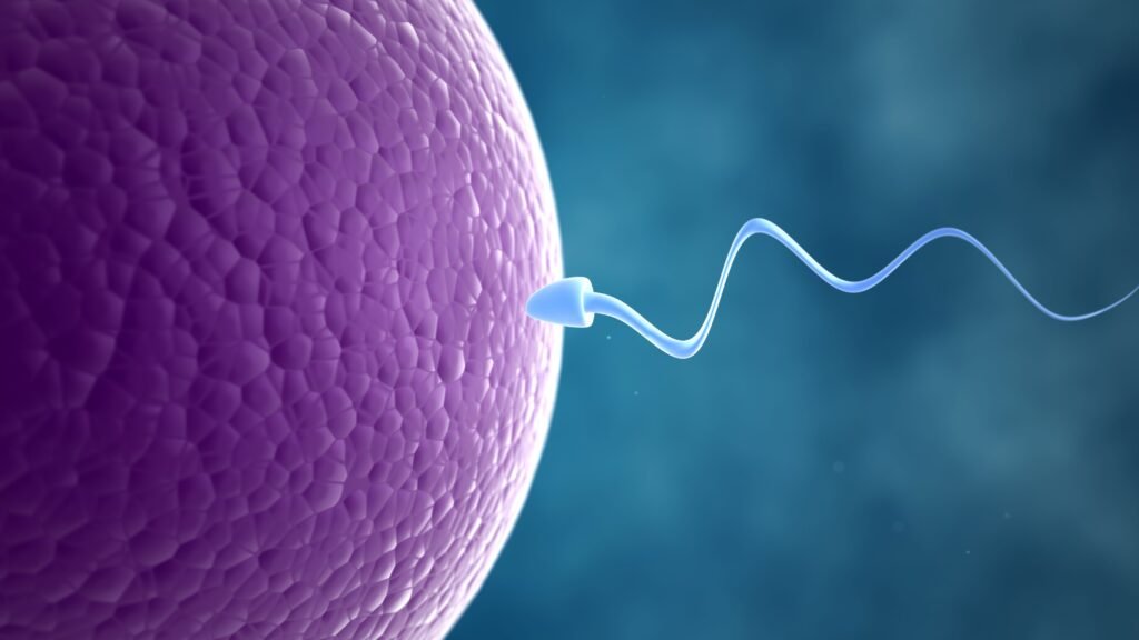 PCOD vs PCOS