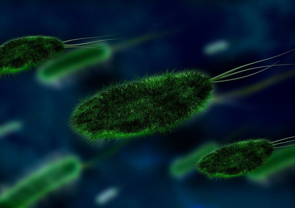 disease x